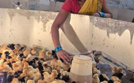 बिहान से बदली जिंदगी: गुंजवती पेगड़ बनीं “लखपति दीदी