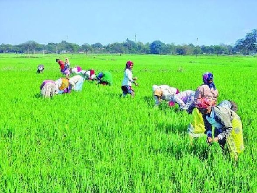 खरीफ और रबी सीजन के लिए जिला स्तरीय कृषि नियंत्रण कक्ष स्थापित