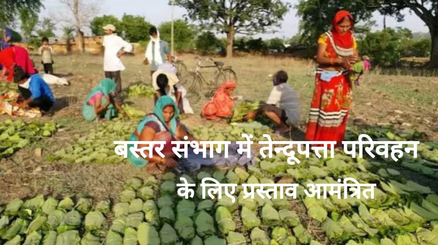 13 अप्रैल से शुरू होगी  बस्तर संभाग में तेन्दूपत्ता परिवहन प्रक्रिया