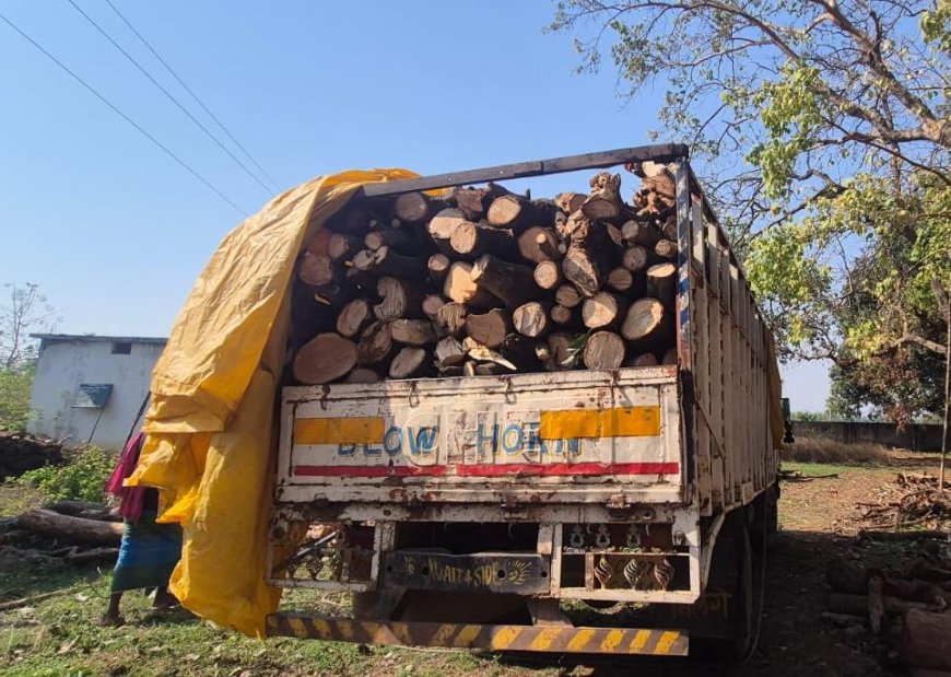करपावंड में अवैध लकड़ी तस्करी पर वन विभाग का कड़ा प्रहार