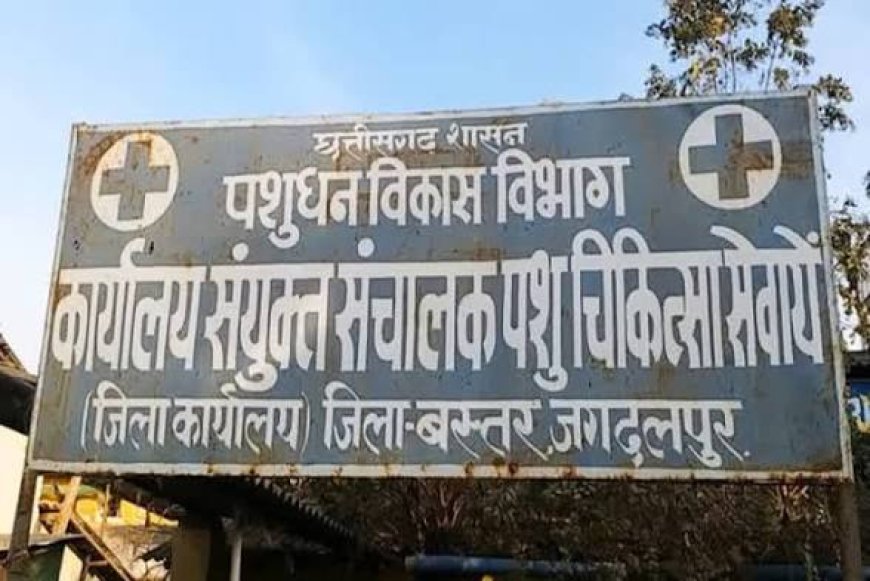 बस्तर जिले में खुरपका-मुंहपका रोग के खिलाफ 64 टीमें तैनात
