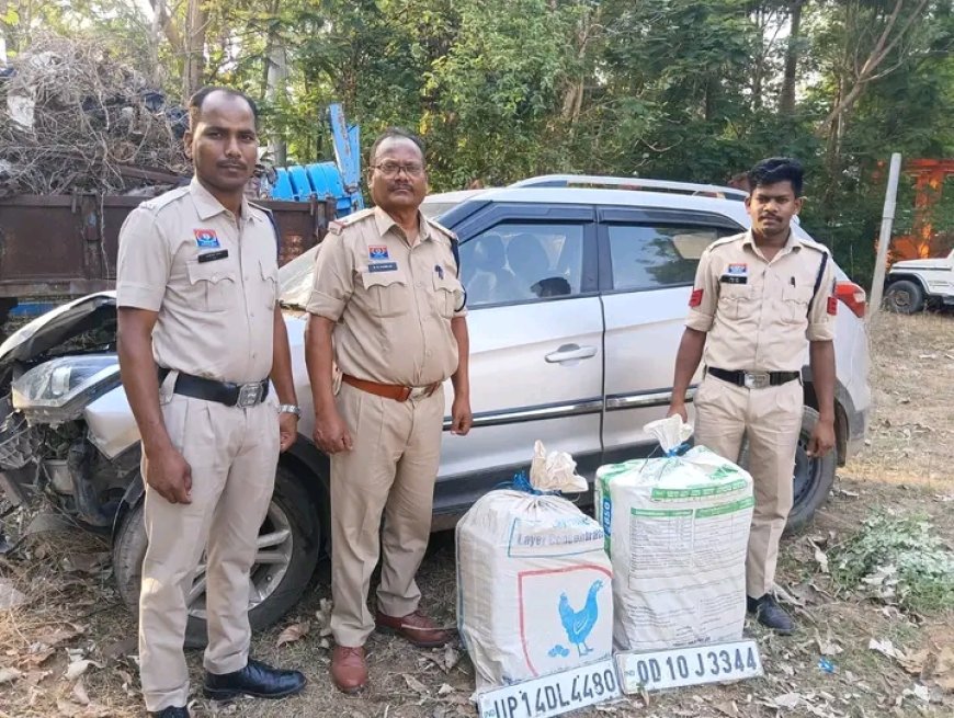 नारहरपुर पुलिस द्वारा अवैध मादक पदार्थों के विरुद्ध कार्रवाई 67.380 किलोग्राम गांजा जप्त , आरोपी फरार