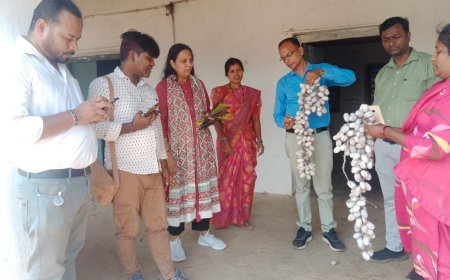 बस्तर की कला देख मुग्ध हुए जयपुर के विशेषज्ञ ,डिजाइन और ब्रांडिंग से बदलेगी शिल्पकारों की तकदीर