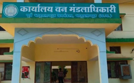 रिश्वत लेकर लकड़ी परिवहन के लिए फर्जी दस्तावेज बनाने का सौदा, कंप्यूटर ऑपरेटर को नोटिस