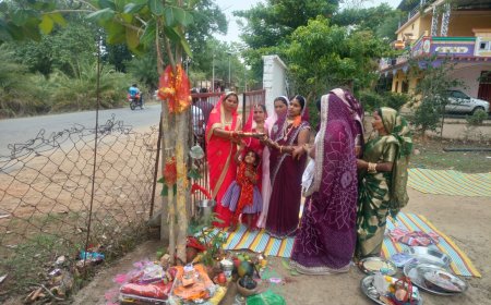 दंतेवाड़ा चितालूर में श्रद्धा और उल्लास के साथ मनाया गया वट सावित्री पर्व