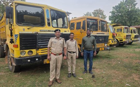 बस्तर में खनिज विभाग की बड़ी कार्रवाई, अवैध रेत और चुना पत्थर परिवहन में 36 वाहन जब्त