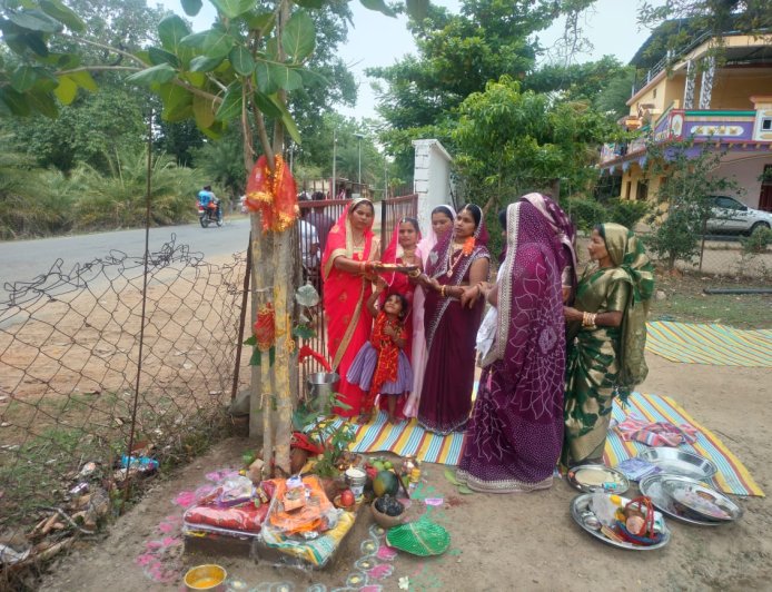 दंतेवाड़ा चितालूर में श्रद्धा और उल्लास के साथ मनाया गया वट सावित्री पर्व