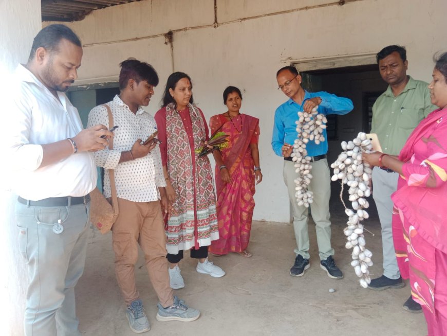 बस्तर की कला देख मुग्ध हुए जयपुर के विशेषज्ञ ,डिजाइन और ब्रांडिंग से बदलेगी शिल्पकारों की तकदीर