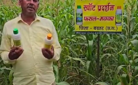बस्तर के किसान दिनेश को भाया नैनो यूरिया और नैनो डीएपी,बेहतर उत्पादन के लिए किसानों को मिला विकल्प