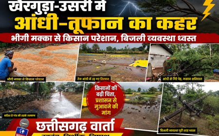 खैरगुड़ा-उसरी में आंधी-तूफान का कहर, भीगी मक्का से किसान परेशान, बिजली व्यवस्था ध्वस्त
