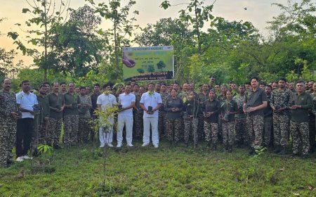 241 बस्तरिया बटालियन द्वारा सेडवा मुख्यालय में वृक्षारोपण समारोह का आयोजन