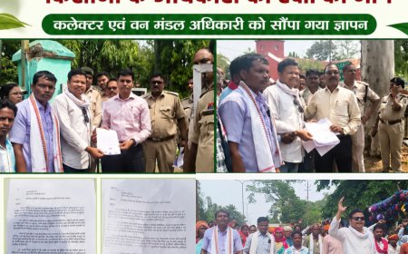विवादित वनभूमि पर पौधारोपण रोकने एवं किसानों के अधिकारों की रक्षा की मांग, कलेक्टर एवं वन मंडल अधिकारी को सौंपा गया ज्ञापन