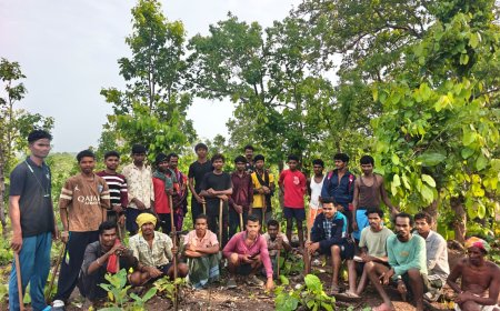 नेतानार में युवाओं ने श्रमदान कर हटाई जहाज लाटा घास, रोपे जाएंगे उपयोगी पौधे