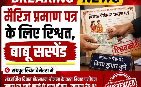 मैरिज प्रमाण पत्र के लिए रिश्वत, कलेक्टर ने सहायक ग्रेड–  2 बाबू  को किया सस्पेंड