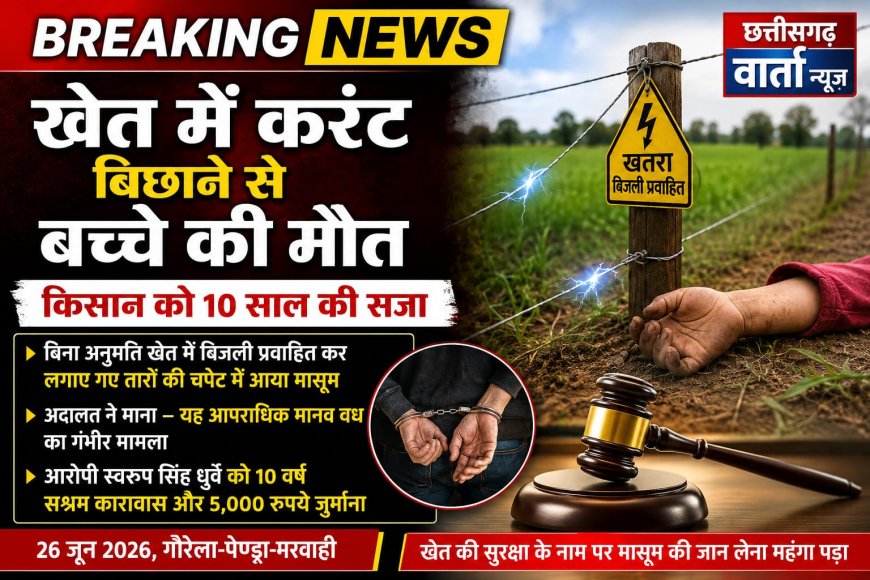 खेत में करंट बिछाने से बच्चे की मौत, किसान को 10 साल की सजा