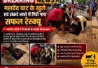 महादेव घाट के खुले एवं संकरे नाले में गिरी गाय का सफल रेस्क्यू,स्थानीय लोगों ने गौ सेवकों के प्रयासों की सराहना