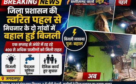 जिला प्रशासन की त्वरित पहल से मिचनार के दो गांवों में बहाल हुई बिजली