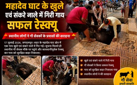 महादेव घाट के खुले एवं संकरे नाले में गिरी गाय का सफल रेस्क्यू,स्थानीय लोगों ने गौ सेवकों के प्रयासों की सराहना