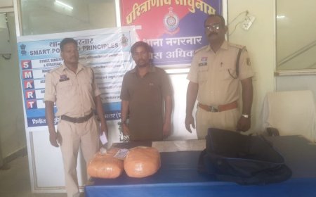 अवैध मादक पदार्थ गांजा के साथ 01 आरोपी गिरफ्तार,गांजा को उड़ीसा से रायपुर ले जा रहा था।