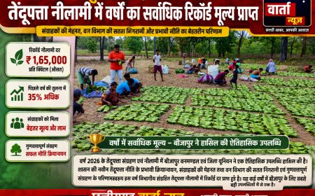 बीजापुर ने रचा इतिहास, तेंदूपत्ता नीलामी में वर्षों का सर्वाधिक रिकॉर्ड मूल्य प्राप्त