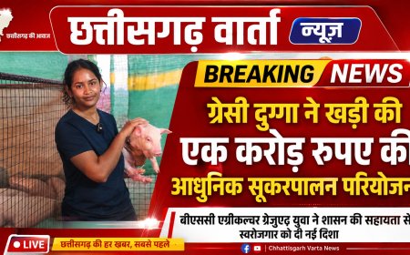 ग्रेसी दुग्गा ने खड़ी की एक करोड़ रुपए की आधुनिक सूकरपालन परियोजना, बीएससी एग्रीकल्चर ग्रेजुएट युवा ने शासन की सहायता से स्वरोजगार को दी नई दिशा