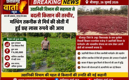 उद्यानिकी विभाग की सहायता से बदली किसान की तस्वीर, मल्चिंग तकनीक से मिर्च की खेती में हुई छह लाख रुपये की आय
