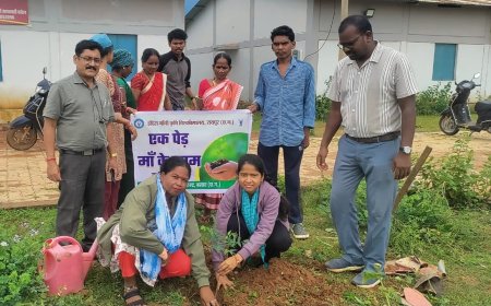 तुरेनार में 'एक पेड़ माँ के नाम' अभियान के तहत पौधरोपण एवं पौध वितरण कार्यक्रम संपन्न