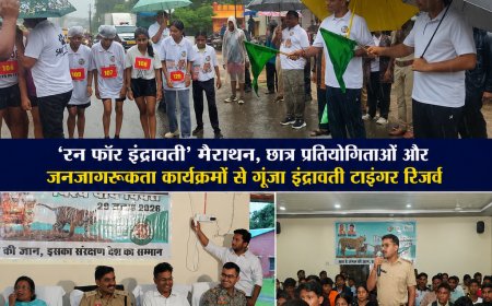 बारिश भी नहीं रोक सकी बाघ संरक्षण का जुनून: अंतरराष्ट्रीय बाघ दिवस पर इंद्रावती टाइगर रिजर्व में उमड़ा जनसैलाब