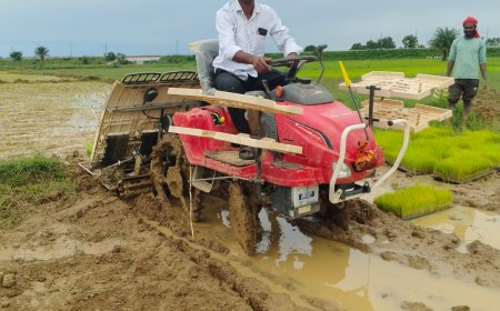 तेलीमारेंगा के किसान महादेव मौर्य ने धान रोपाई मशीन से उन्नत खेती-किसानी को दी नई दिशा