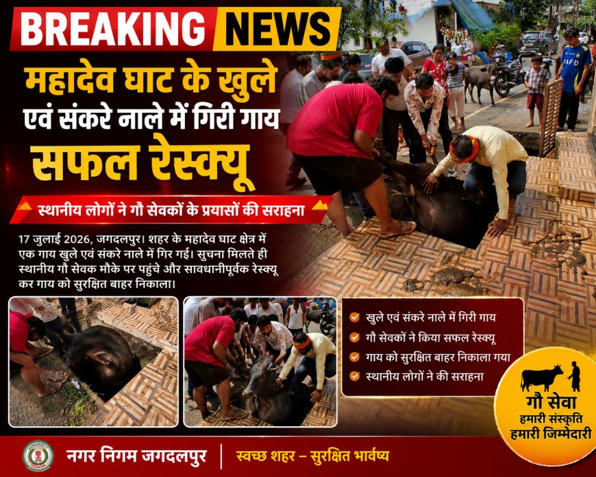 महादेव घाट के खुले एवं संकरे नाले में गिरी गाय का सफल रेस्क्यू,स्थानीय लोगों ने गौ सेवकों के प्रयासों की सराहना