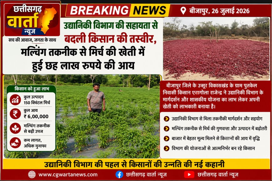 उद्यानिकी विभाग की सहायता से बदली किसान की तस्वीर, मल्चिंग तकनीक से मिर्च की खेती में हुई छह लाख रुपये की आय