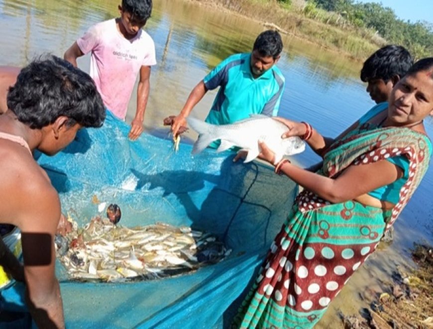 अनुदान से बदली तकदीर: मछलीपालन ने मदनूबाई को बनाया आत्मनिर्भर, सालाना 2 लाख से अधिक की हो रही आमदनी