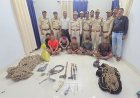 इन्द्रावती टाइगर रिजर्व में वन्यजीव शिकार पर बड़ी कार्रवाई, 6 आरोपी गिरफ्तार