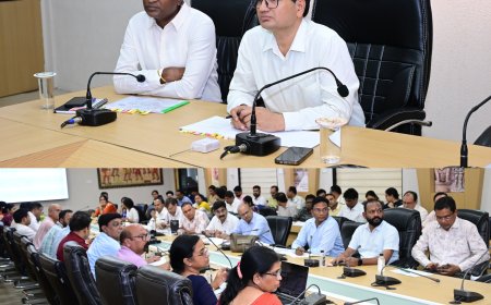 गर्भवती महिलाओं का शत-प्रतिशत पंजीयन सुनिश्चित करें, फील्ड में प्रभावी कार्य से ही मिलेंगे परिणाम : कलेक्टर