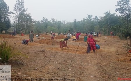 मनरेगा से संवरा निम्मलगुड़ा: 500 जल अवशोषण ट्रेंच ने बढ़ाया भू-जल स्तर, 1,801 मानव-दिवस का हुआ रोजगार सृजन