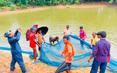 सिवनी के रयतु राम ने मछली बीज उत्पादन से रची सफलता की नई गाथा