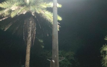 सोलर हाई मास्ट से रोशन हो रहे वनांचल के गांव, नियद नेल्लानार ग्रामों में बढ़ी सुरक्षा और सुविधा