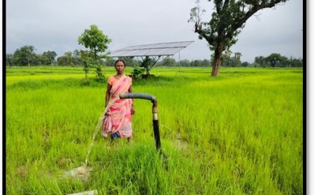 सरकारी योजनाओं के सहयोग और खेती की बदौलत जोगी कश्यप बनीं संघर्ष और स्वावलंबन की मिसाल