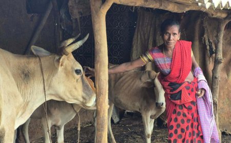छिंदगाव की महिला किसान रैबारी कश्यप ने रची सफलता की नई इबारत