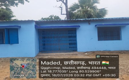 खेतों से समिति तक पहुंचे कलेक्टर, गिरदावरी की जांच के साथ एग्रीस्टैक पंजीयन का लिया जायजा
