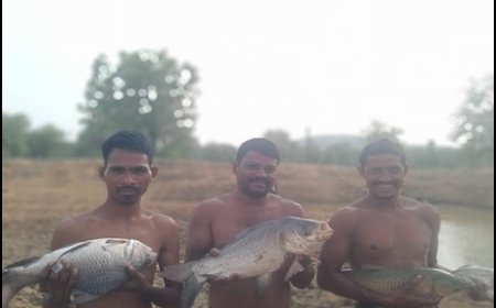 तालाब में पाली मछलियां, मुनाफे से संवारी जिंदगी—शंकर कुड़ियम बने आत्मनिर्भरता की मिसाल