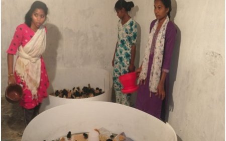 स्व-सहायता समूह से जुड़ाव, प्रशिक्षण और ऋण ने बदली राह, अब मुर्गी पालन बना स्थायी आजीविका का आधार