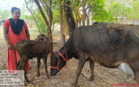 प्रधानमंत्री कृषि सिंचाई योजना से मिला संबल, डेयरी फार्मिंग को बनाया लाभ का व्यवसाय