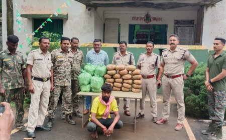 अवैध रूप से मादक पदार्थ गांजा बिक्री करने हेतु घर में छिपाकर रखने पर छापेमारी में 01 आरोपी  को पुलिस ने किया गिरफ्तार