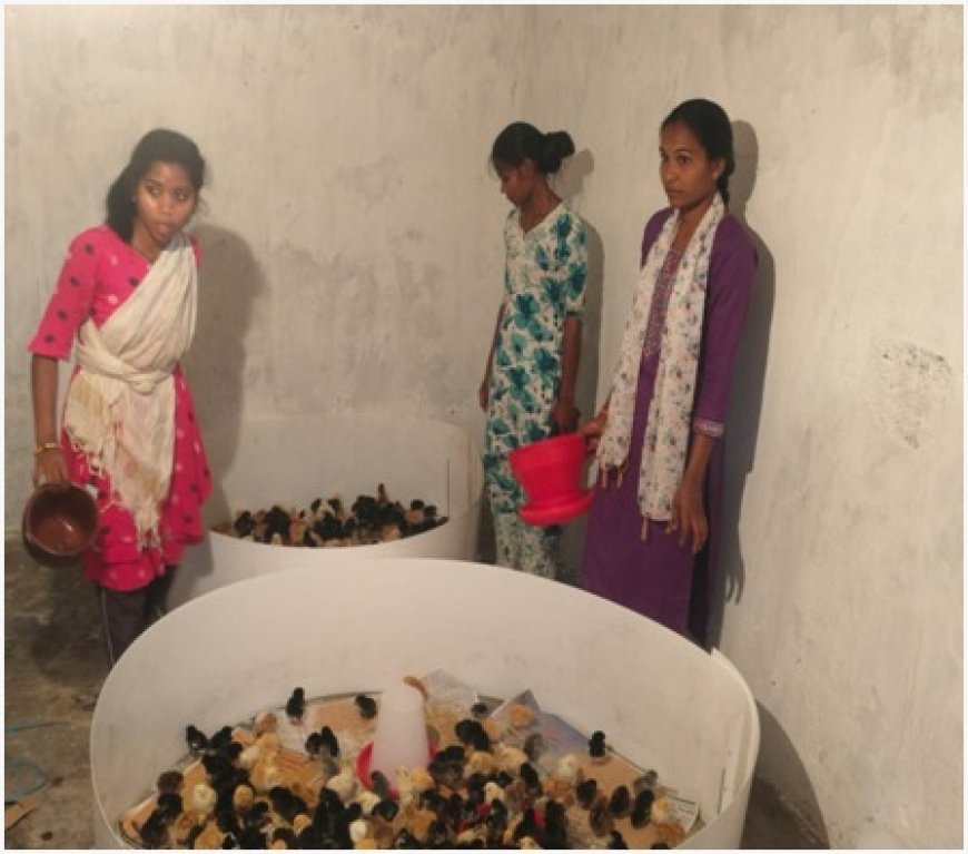 स्व-सहायता समूह से जुड़ाव, प्रशिक्षण और ऋण ने बदली राह, अब मुर्गी पालन बना स्थायी आजीविका का आधार