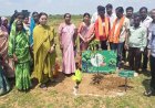 ग्राम बड़े अलनार में रोपे गए 300 पौधे, जनप्रतिनिधियों ने लिया पर्यावरण संरक्षण का संकल्प