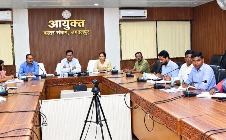 राजस्व प्रकरणों के त्वरित निराकरण के लिए गंभीरता से कार्य करें अधिकारी-कमिश्नर डोमन सिंह