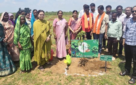 ग्राम बड़े अलनार में रोपे गए 300 पौधे, जनप्रतिनिधियों ने लिया पर्यावरण संरक्षण का संकल्प