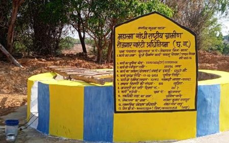 मनरेगा के कुएँ से नियमित सिंचाई कर लहलहा उठे तोकापाल के पाकलू पोयाम के खेत