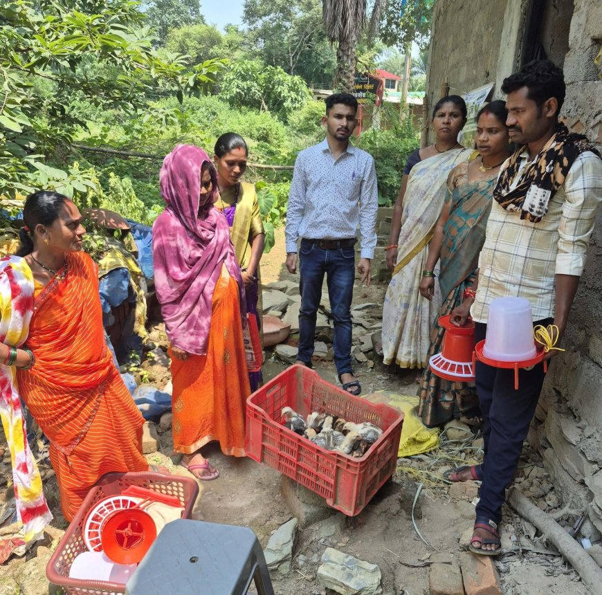 लोहंडीगुड़ा में इंटीग्रेटेड फार्मिंग क्लस्टर ब्रीडिंग सेंटर बना आजीविका की नई राह, 15 किसानों को मिले 600 उन्नत चूजे